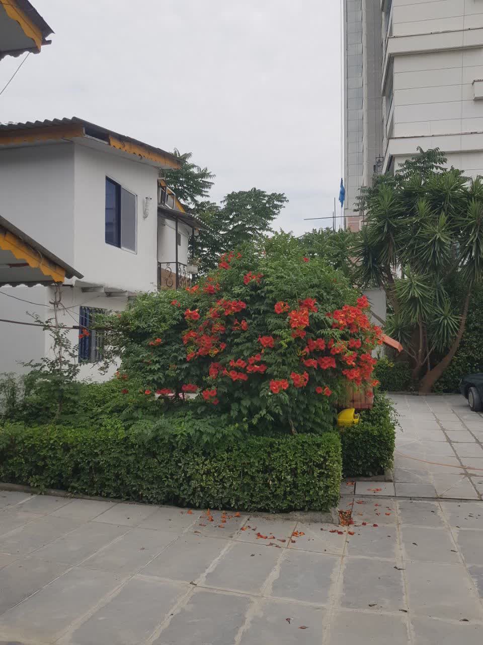 نکات کلیدی برای انتخاب رستوران ایده‌آل